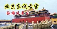 日逼免费视频中国北京-东城古宫旅游风景区